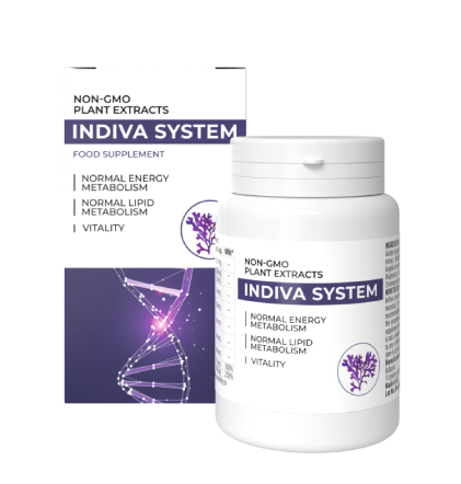 InDiva System